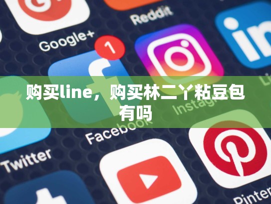 购买line，购买林二丫粘豆包有吗