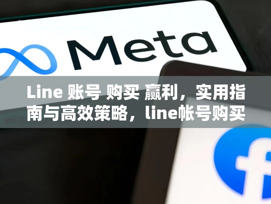 Line 账号 购买 赢利，实用指南与高效策略，line帐号购买台湾