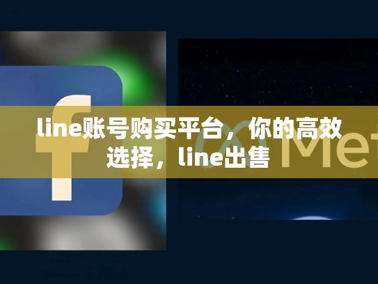 line账号购买平台，你的高效选择，line出售