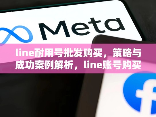 line耐用号批发购买，策略与成功案例解析，line账号购买网站