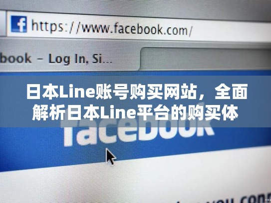 日本Line账号购买网站，全面解析日本Line平台的购买体验