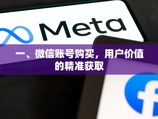 一、微信账号购买，用户价值的精准获取