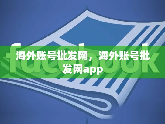 海外账号批发网，海外账号批发网app